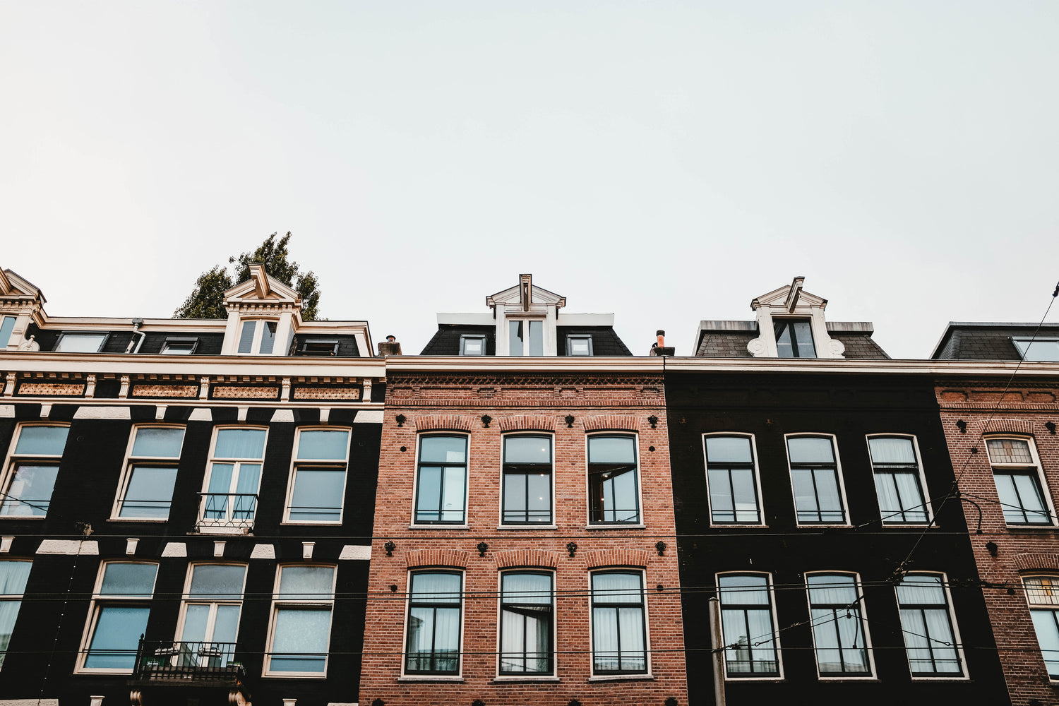 Comfitz Amsterdam 